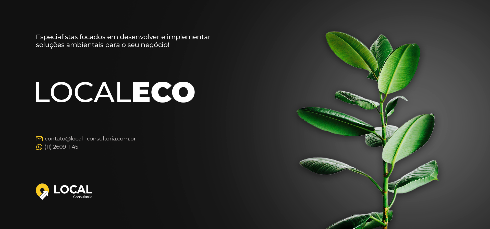 Capa LocalEco - site (1)